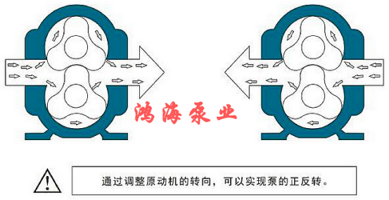 泊頭市鴻海泵業(yè)<strong /><b>HTLB凸輪轉(zhuǎn)子泵</b></strong> / <strong><b>無堵塞排污泵</b></strong> / <strong><b>高粘度轉(zhuǎn)子泵</b></strong>